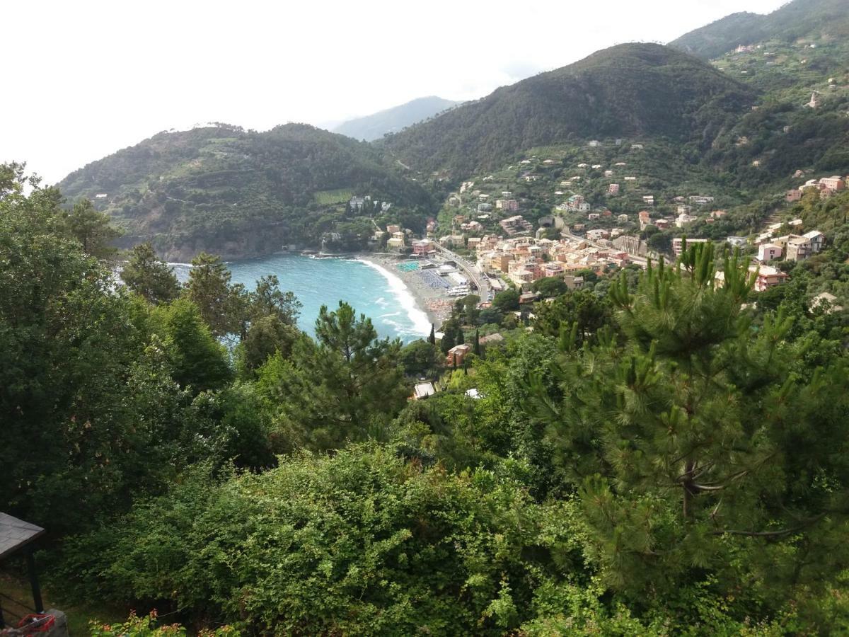 Apartmán Casa Cinzia Bonassola Cinque Terre Exteriér fotografie