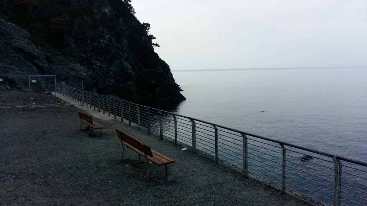 Apartmán Casa Cinzia Bonassola Cinque Terre Exteriér fotografie